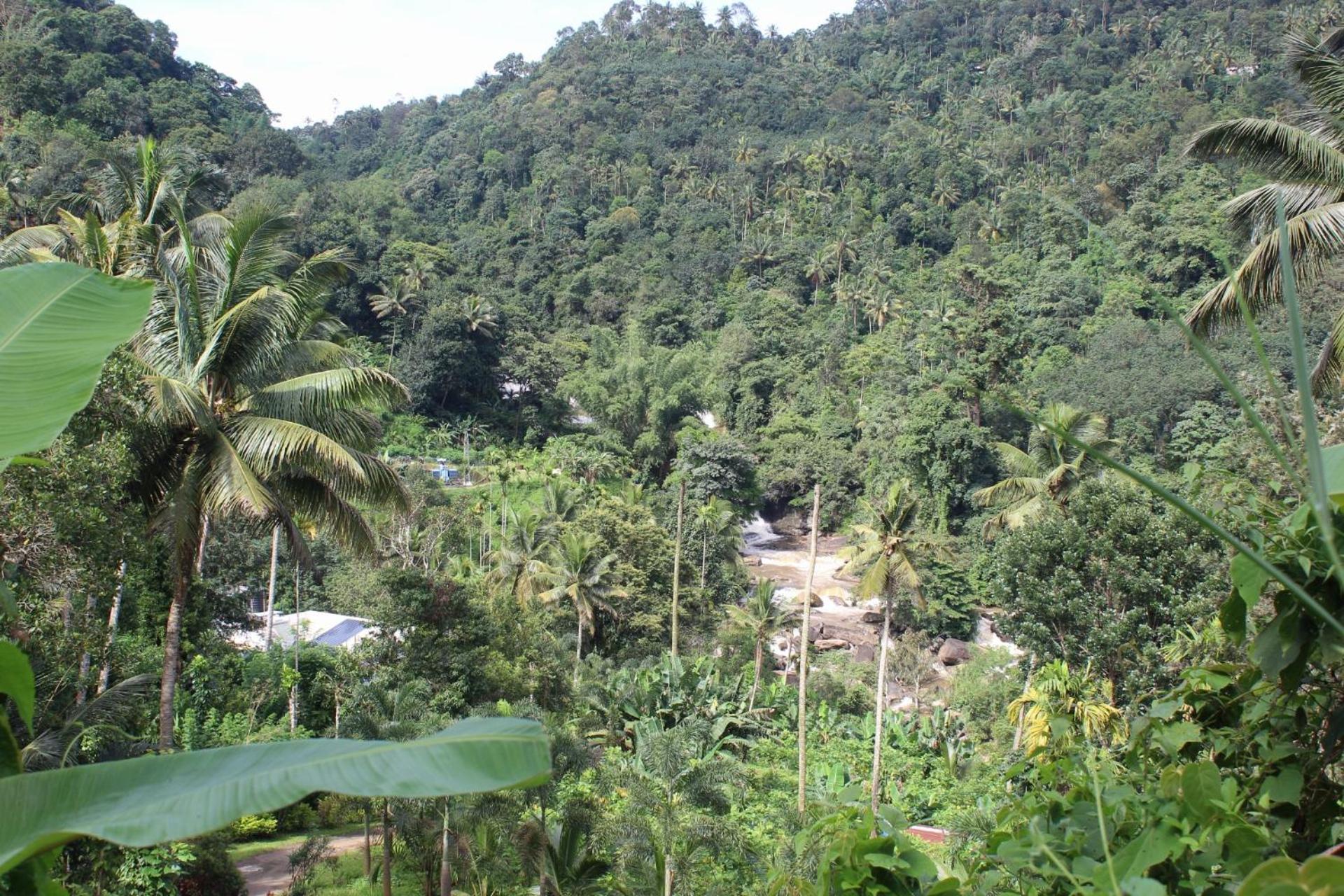 Munnar Village Homes エクステリア 写真