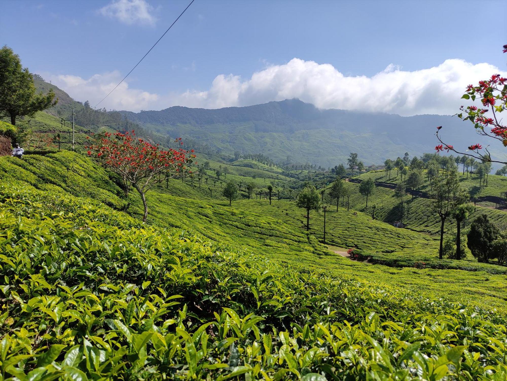 Munnar Village Homes エクステリア 写真