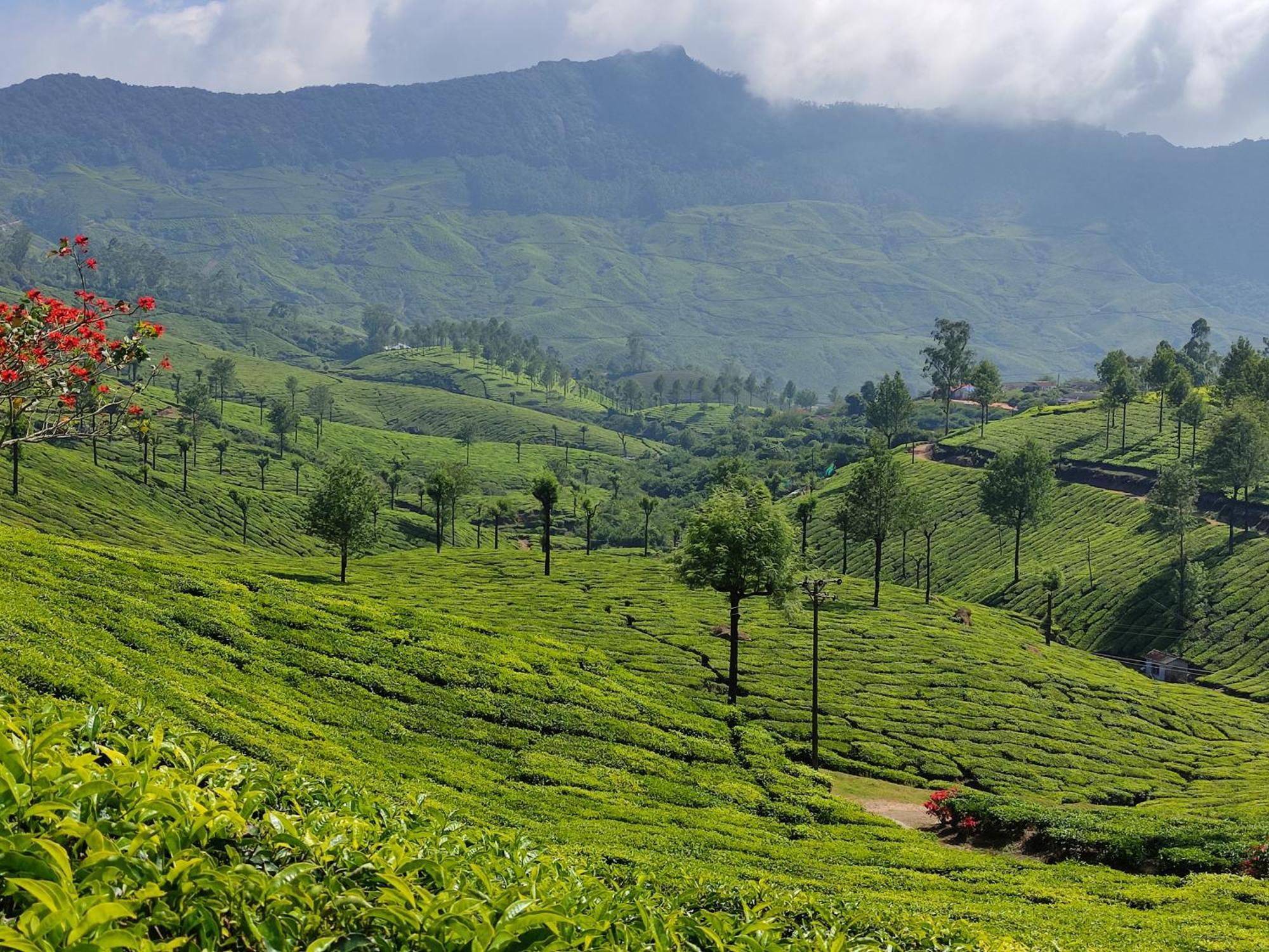 Munnar Village Homes エクステリア 写真